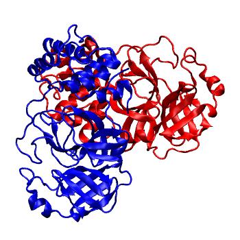 Structure preview of Folding@home molecular dynamics simulations of Diamond Light Source / XChem X-ray structures of small molecule inhibitors of the SARS-CoV-2 main protease from the COVID Moonshot; project 13436, run 92