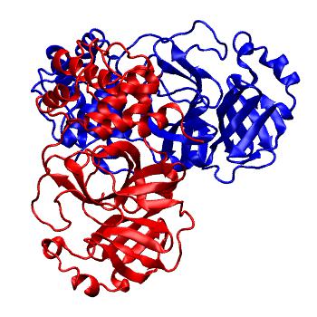 Structure preview of Folding@home molecular dynamics simulations of Diamond Light Source / XChem X-ray structures of small molecule inhibitors of the SARS-CoV-2 main protease from the COVID Moonshot; project 13436, run 96