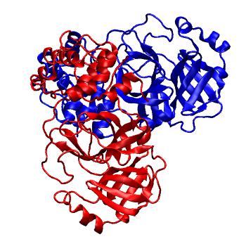 Structure preview of Folding@home molecular dynamics simulations of Diamond Light Source / XChem X-ray structures of small molecule inhibitors of the SARS-CoV-2 main protease from the COVID Moonshot; project 13436, run 97
