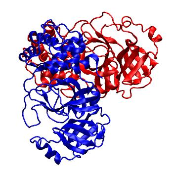 Structure preview of Folding@home molecular dynamics simulations of Diamond Light Source / XChem X-ray structures of small molecule inhibitors of the SARS-CoV-2 main protease from the COVID Moonshot; project 13436, run 9