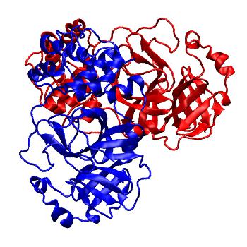 Structure preview of Folding@home molecular dynamics simulations of Diamond Light Source / XChem X-ray structures of small molecule inhibitors of the SARS-CoV-2 main protease from the COVID Moonshot; project 13437, run 0