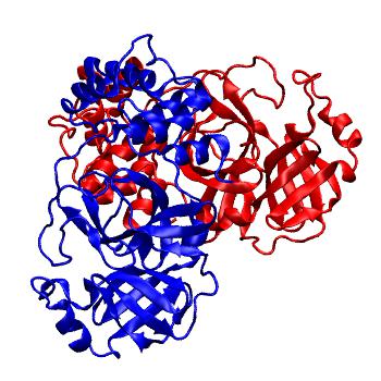 Structure preview of Folding@home molecular dynamics simulations of Diamond Light Source / XChem X-ray structures of small molecule inhibitors of the SARS-CoV-2 main protease from the COVID Moonshot; project 13437, run 100