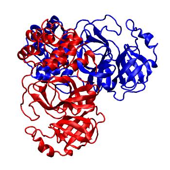 Structure preview of Folding@home molecular dynamics simulations of Diamond Light Source / XChem X-ray structures of small molecule inhibitors of the SARS-CoV-2 main protease from the COVID Moonshot; project 13437, run 104