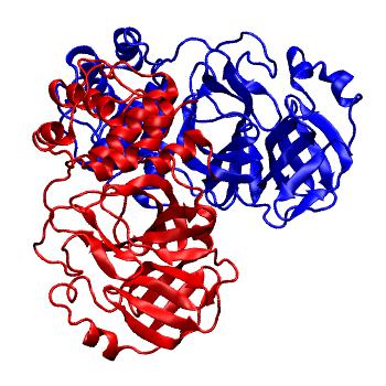 Structure preview of Folding@home molecular dynamics simulations of Diamond Light Source / XChem X-ray structures of small molecule inhibitors of the SARS-CoV-2 main protease from the COVID Moonshot; project 13437, run 106