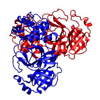 Structure preview of Folding@home molecular dynamics simulations of Diamond Light Source / XChem X-ray structures of small molecule inhibitors of the SARS-CoV-2 main protease from the COVID Moonshot; project 13437, run 110