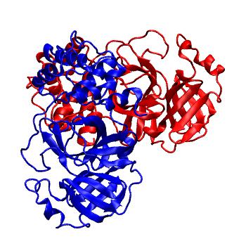 Structure preview of Folding@home molecular dynamics simulations of Diamond Light Source / XChem X-ray structures of small molecule inhibitors of the SARS-CoV-2 main protease from the COVID Moonshot; project 13437, run 111