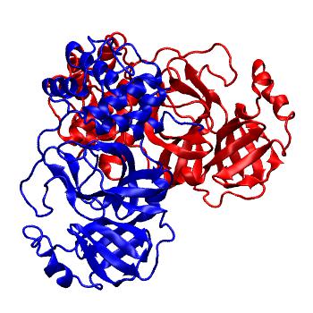 Structure preview of Folding@home molecular dynamics simulations of Diamond Light Source / XChem X-ray structures of small molecule inhibitors of the SARS-CoV-2 main protease from the COVID Moonshot; project 13437, run 113