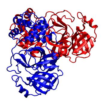 Structure preview of Folding@home molecular dynamics simulations of Diamond Light Source / XChem X-ray structures of small molecule inhibitors of the SARS-CoV-2 main protease from the COVID Moonshot; project 13437, run 114