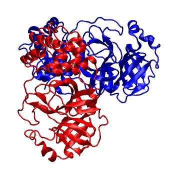 Structure preview of Folding@home molecular dynamics simulations of Diamond Light Source / XChem X-ray structures of small molecule inhibitors of the SARS-CoV-2 main protease from the COVID Moonshot; project 13437, run 116