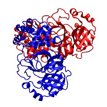 Structure preview of Folding@home molecular dynamics simulations of Diamond Light Source / XChem X-ray structures of small molecule inhibitors of the SARS-CoV-2 main protease from the COVID Moonshot; project 13437, run 118