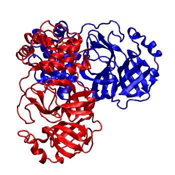 Structure preview of Folding@home molecular dynamics simulations of Diamond Light Source / XChem X-ray structures of small molecule inhibitors of the SARS-CoV-2 main protease from the COVID Moonshot; project 13437, run 120