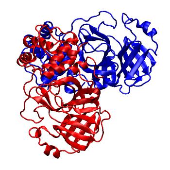 Structure preview of Folding@home molecular dynamics simulations of Diamond Light Source / XChem X-ray structures of small molecule inhibitors of the SARS-CoV-2 main protease from the COVID Moonshot; project 13437, run 121