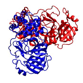 Structure preview of Folding@home molecular dynamics simulations of Diamond Light Source / XChem X-ray structures of small molecule inhibitors of the SARS-CoV-2 main protease from the COVID Moonshot; project 13437, run 122