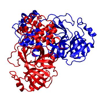 Structure preview of Folding@home molecular dynamics simulations of Diamond Light Source / XChem X-ray structures of small molecule inhibitors of the SARS-CoV-2 main protease from the COVID Moonshot; project 13437, run 123