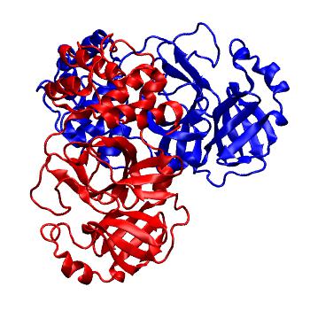 Structure preview of Folding@home molecular dynamics simulations of Diamond Light Source / XChem X-ray structures of small molecule inhibitors of the SARS-CoV-2 main protease from the COVID Moonshot; project 13437, run 124