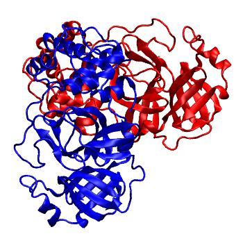Structure preview of Folding@home molecular dynamics simulations of Diamond Light Source / XChem X-ray structures of small molecule inhibitors of the SARS-CoV-2 main protease from the COVID Moonshot; project 13437, run 125