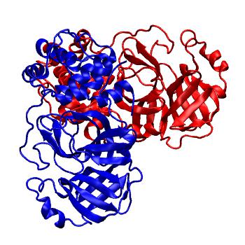 Structure preview of Folding@home molecular dynamics simulations of Diamond Light Source / XChem X-ray structures of small molecule inhibitors of the SARS-CoV-2 main protease from the COVID Moonshot; project 13437, run 12