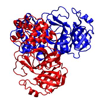 Structure preview of Folding@home molecular dynamics simulations of Diamond Light Source / XChem X-ray structures of small molecule inhibitors of the SARS-CoV-2 main protease from the COVID Moonshot; project 13437, run 130