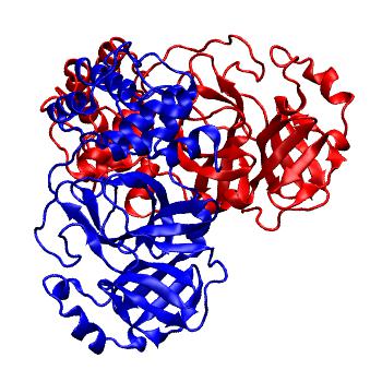 Structure preview of Folding@home molecular dynamics simulations of Diamond Light Source / XChem X-ray structures of small molecule inhibitors of the SARS-CoV-2 main protease from the COVID Moonshot; project 13437, run 133