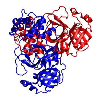 Structure preview of Folding@home molecular dynamics simulations of Diamond Light Source / XChem X-ray structures of small molecule inhibitors of the SARS-CoV-2 main protease from the COVID Moonshot; project 13437, run 138