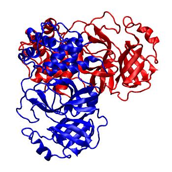Structure preview of Folding@home molecular dynamics simulations of Diamond Light Source / XChem X-ray structures of small molecule inhibitors of the SARS-CoV-2 main protease from the COVID Moonshot; project 13437, run 139