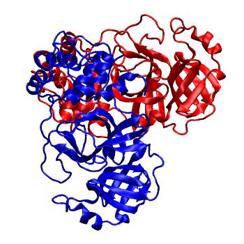 Structure preview of Folding@home molecular dynamics simulations of Diamond Light Source / XChem X-ray structures of small molecule inhibitors of the SARS-CoV-2 main protease from the COVID Moonshot; project 13437, run 141