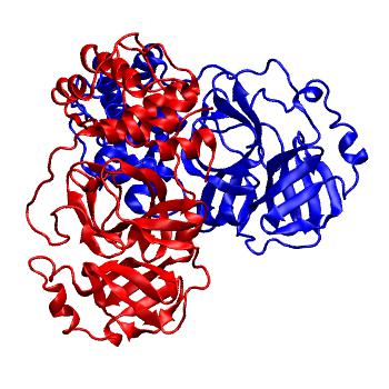 Structure preview of Folding@home molecular dynamics simulations of Diamond Light Source / XChem X-ray structures of small molecule inhibitors of the SARS-CoV-2 main protease from the COVID Moonshot; project 13437, run 146