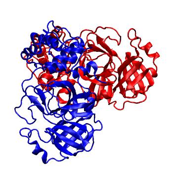Structure preview of Folding@home molecular dynamics simulations of Diamond Light Source / XChem X-ray structures of small molecule inhibitors of the SARS-CoV-2 main protease from the COVID Moonshot; project 13437, run 147