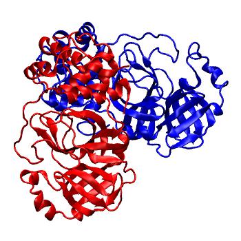 Structure preview of Folding@home molecular dynamics simulations of Diamond Light Source / XChem X-ray structures of small molecule inhibitors of the SARS-CoV-2 main protease from the COVID Moonshot; project 13437, run 149