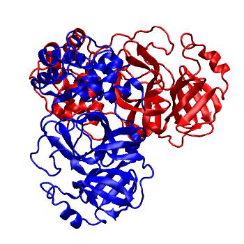 Structure preview of Folding@home molecular dynamics simulations of Diamond Light Source / XChem X-ray structures of small molecule inhibitors of the SARS-CoV-2 main protease from the COVID Moonshot; project 13437, run 14