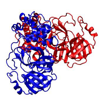 Structure preview of Folding@home molecular dynamics simulations of Diamond Light Source / XChem X-ray structures of small molecule inhibitors of the SARS-CoV-2 main protease from the COVID Moonshot; project 13437, run 151