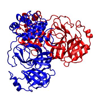 Structure preview of Folding@home molecular dynamics simulations of Diamond Light Source / XChem X-ray structures of small molecule inhibitors of the SARS-CoV-2 main protease from the COVID Moonshot; project 13437, run 153