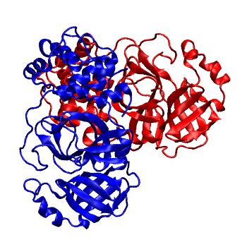 Structure preview of Folding@home molecular dynamics simulations of Diamond Light Source / XChem X-ray structures of small molecule inhibitors of the SARS-CoV-2 main protease from the COVID Moonshot; project 13437, run 155