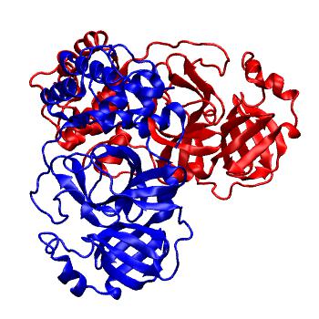 Structure preview of Folding@home molecular dynamics simulations of Diamond Light Source / XChem X-ray structures of small molecule inhibitors of the SARS-CoV-2 main protease from the COVID Moonshot; project 13437, run 176