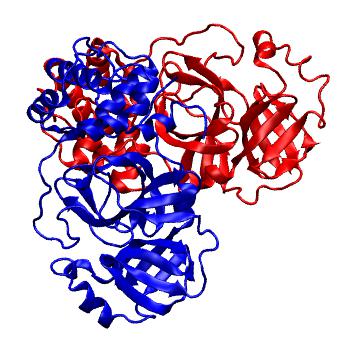 Structure preview of Folding@home molecular dynamics simulations of Diamond Light Source / XChem X-ray structures of small molecule inhibitors of the SARS-CoV-2 main protease from the COVID Moonshot; project 13437, run 178