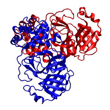 Structure preview of Folding@home molecular dynamics simulations of Diamond Light Source / XChem X-ray structures of small molecule inhibitors of the SARS-CoV-2 main protease from the COVID Moonshot; project 13437, run 179