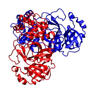 Structure preview of Folding@home molecular dynamics simulations of Diamond Light Source / XChem X-ray structures of small molecule inhibitors of the SARS-CoV-2 main protease from the COVID Moonshot; project 13437, run 181