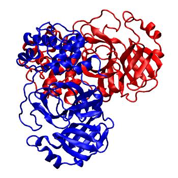 Structure preview of Folding@home molecular dynamics simulations of Diamond Light Source / XChem X-ray structures of small molecule inhibitors of the SARS-CoV-2 main protease from the COVID Moonshot; project 13437, run 184