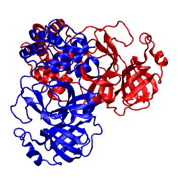 Structure preview of Folding@home molecular dynamics simulations of Diamond Light Source / XChem X-ray structures of small molecule inhibitors of the SARS-CoV-2 main protease from the COVID Moonshot; project 13437, run 185