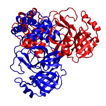 Structure preview of Folding@home molecular dynamics simulations of Diamond Light Source / XChem X-ray structures of small molecule inhibitors of the SARS-CoV-2 main protease from the COVID Moonshot; project 13437, run 186