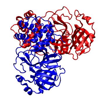 Structure preview of Folding@home molecular dynamics simulations of Diamond Light Source / XChem X-ray structures of small molecule inhibitors of the SARS-CoV-2 main protease from the COVID Moonshot; project 13437, run 187