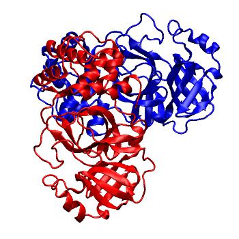 Structure preview of Folding@home molecular dynamics simulations of Diamond Light Source / XChem X-ray structures of small molecule inhibitors of the SARS-CoV-2 main protease from the COVID Moonshot; project 13437, run 189