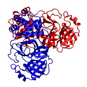 Structure preview of Folding@home molecular dynamics simulations of Diamond Light Source / XChem X-ray structures of small molecule inhibitors of the SARS-CoV-2 main protease from the COVID Moonshot; project 13437, run 18