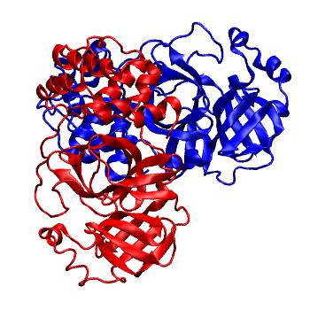 Structure preview of Folding@home molecular dynamics simulations of Diamond Light Source / XChem X-ray structures of small molecule inhibitors of the SARS-CoV-2 main protease from the COVID Moonshot; project 13437, run 191