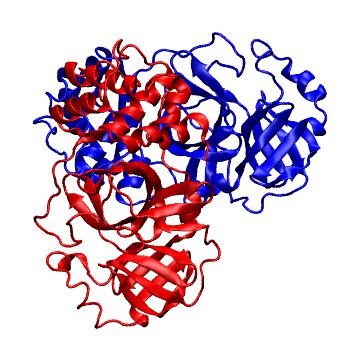 Structure preview of Folding@home molecular dynamics simulations of Diamond Light Source / XChem X-ray structures of small molecule inhibitors of the SARS-CoV-2 main protease from the COVID Moonshot; project 13437, run 193