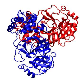 Structure preview of Folding@home molecular dynamics simulations of Diamond Light Source / XChem X-ray structures of small molecule inhibitors of the SARS-CoV-2 main protease from the COVID Moonshot; project 13437, run 194