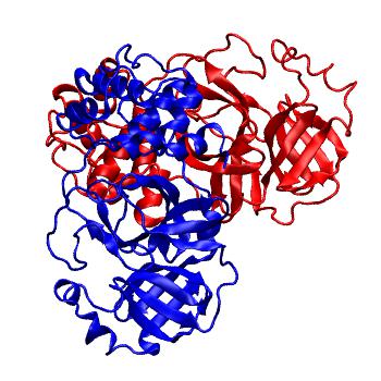 Structure preview of Folding@home molecular dynamics simulations of Diamond Light Source / XChem X-ray structures of small molecule inhibitors of the SARS-CoV-2 main protease from the COVID Moonshot; project 13437, run 195