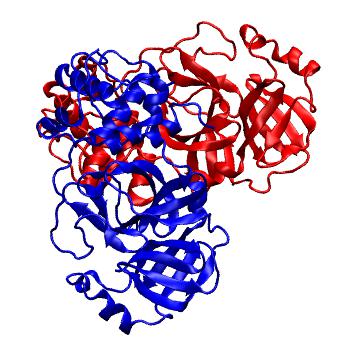 Structure preview of Folding@home molecular dynamics simulations of Diamond Light Source / XChem X-ray structures of small molecule inhibitors of the SARS-CoV-2 main protease from the COVID Moonshot; project 13437, run 196