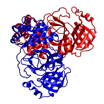 Structure preview of Folding@home molecular dynamics simulations of Diamond Light Source / XChem X-ray structures of small molecule inhibitors of the SARS-CoV-2 main protease from the COVID Moonshot; project 13437, run 197