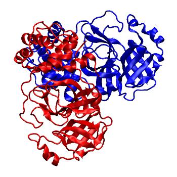 Structure preview of Folding@home molecular dynamics simulations of Diamond Light Source / XChem X-ray structures of small molecule inhibitors of the SARS-CoV-2 main protease from the COVID Moonshot; project 13437, run 199